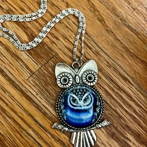 Beautiful OWL - Jelly Belly Owl in Owl Necklace - Blue Owl Necklace - NWO